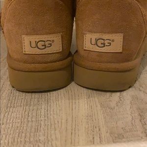 CLASSIC SHORT II BOOT in chestnut